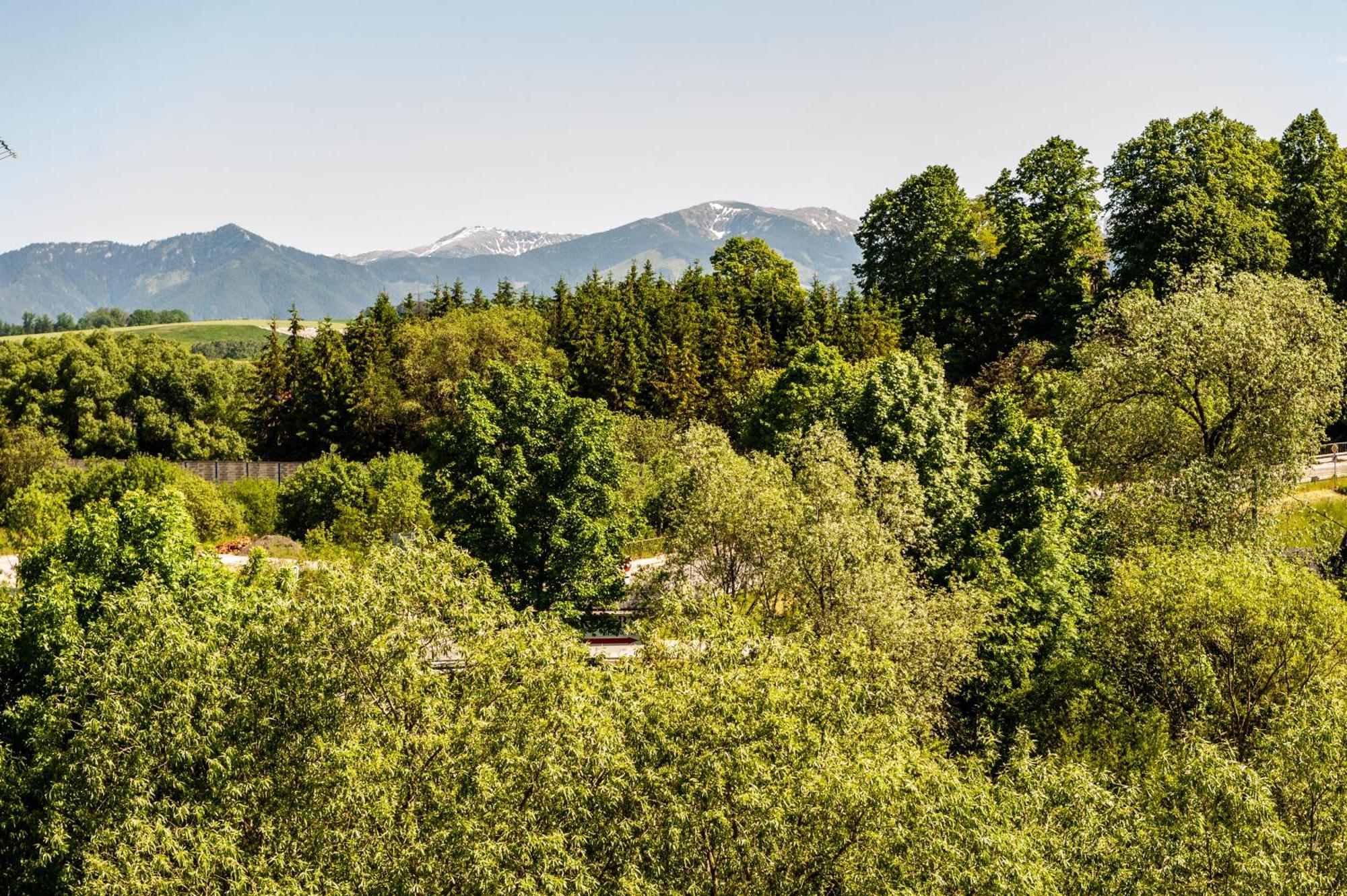 Apartmany Besen Bešeňová Dış mekan fotoğraf
